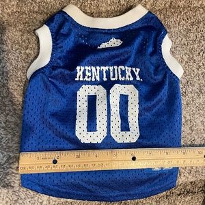 University of Kentucky dog jersey